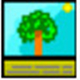 MXSF素描画软件v1.2