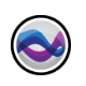 Surferv15.5.382