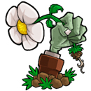 植物大战僵尸修改器v1.2