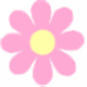蛋花美照画质精修器v4.5.6.6128