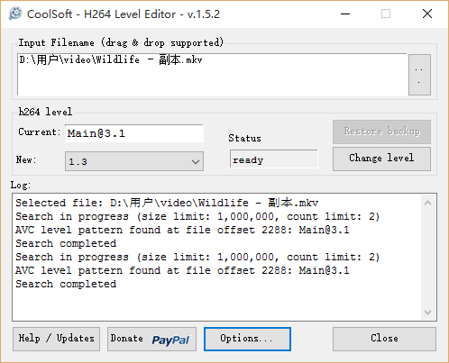 H264 Level Editor